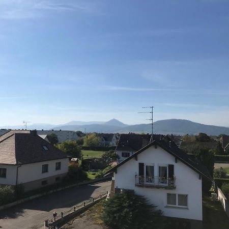 Appartement Chaleureux Et Lumineux Avec Vue ! Au Centre Alsace Sélestat Dış mekan fotoğraf