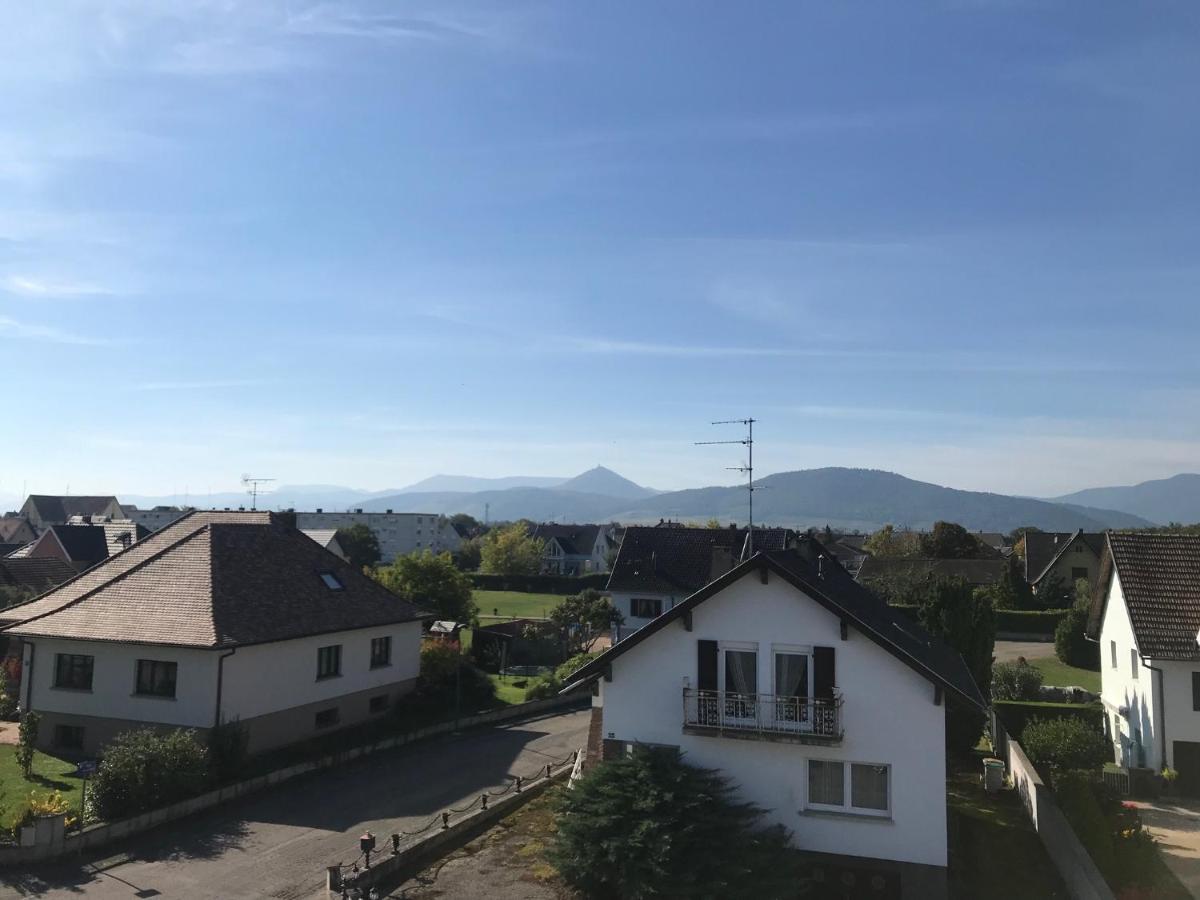 Appartement Chaleureux Et Lumineux Avec Vue ! Au Centre Alsace Sélestat Dış mekan fotoğraf