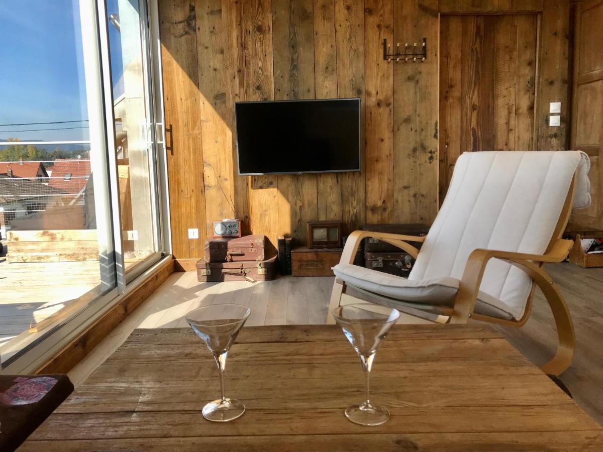 Appartement Chaleureux Et Lumineux Avec Vue ! Au Centre Alsace Sélestat Dış mekan fotoğraf