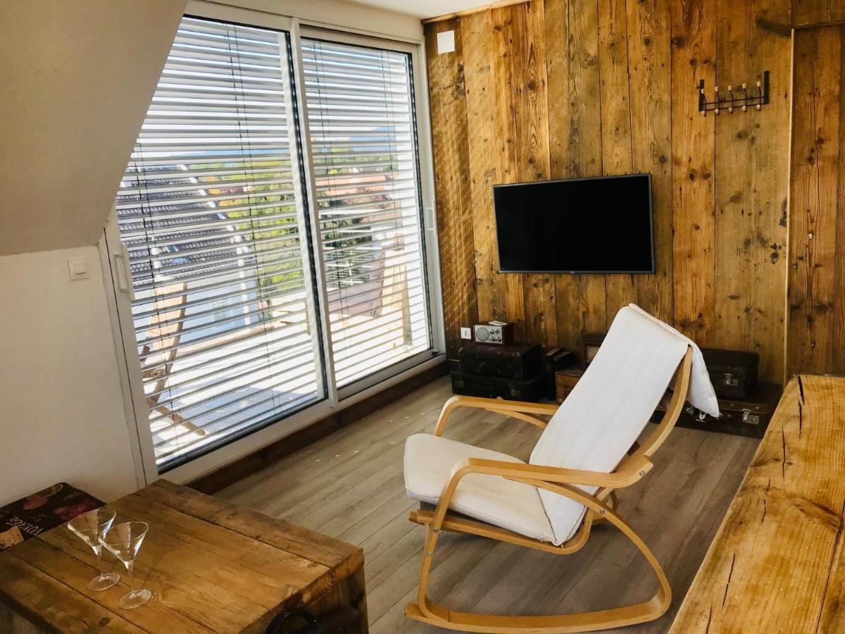 Appartement Chaleureux Et Lumineux Avec Vue ! Au Centre Alsace Sélestat Dış mekan fotoğraf