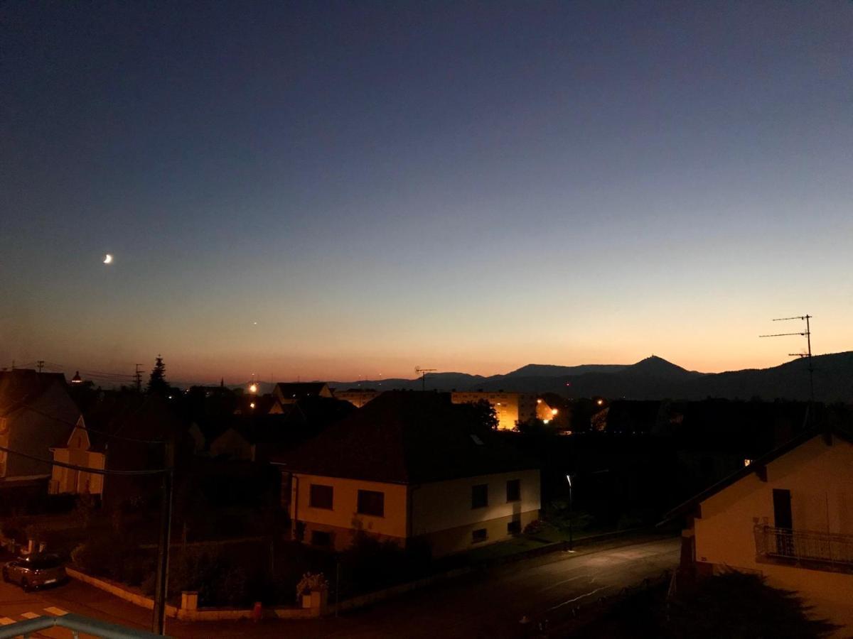 Appartement Chaleureux Et Lumineux Avec Vue ! Au Centre Alsace Sélestat Dış mekan fotoğraf